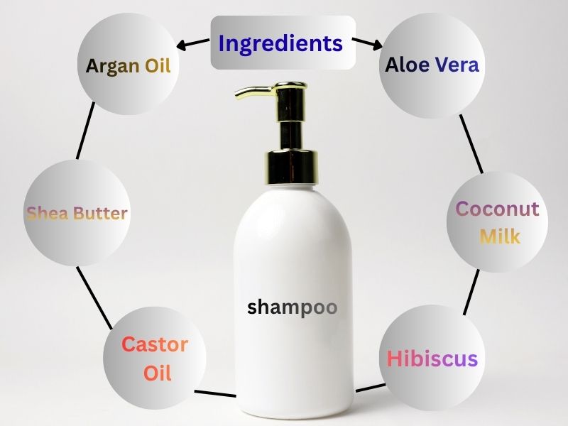 Natural shampoo bottle surrounded by Aloe Vera, Coconut Milk, Argan Oil, Hibiscus, Castor Oil, and Shea Butter for dry frizzy hair.