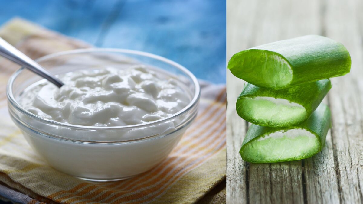 Curd and aloe vera hair mask for thin hair and scalp health